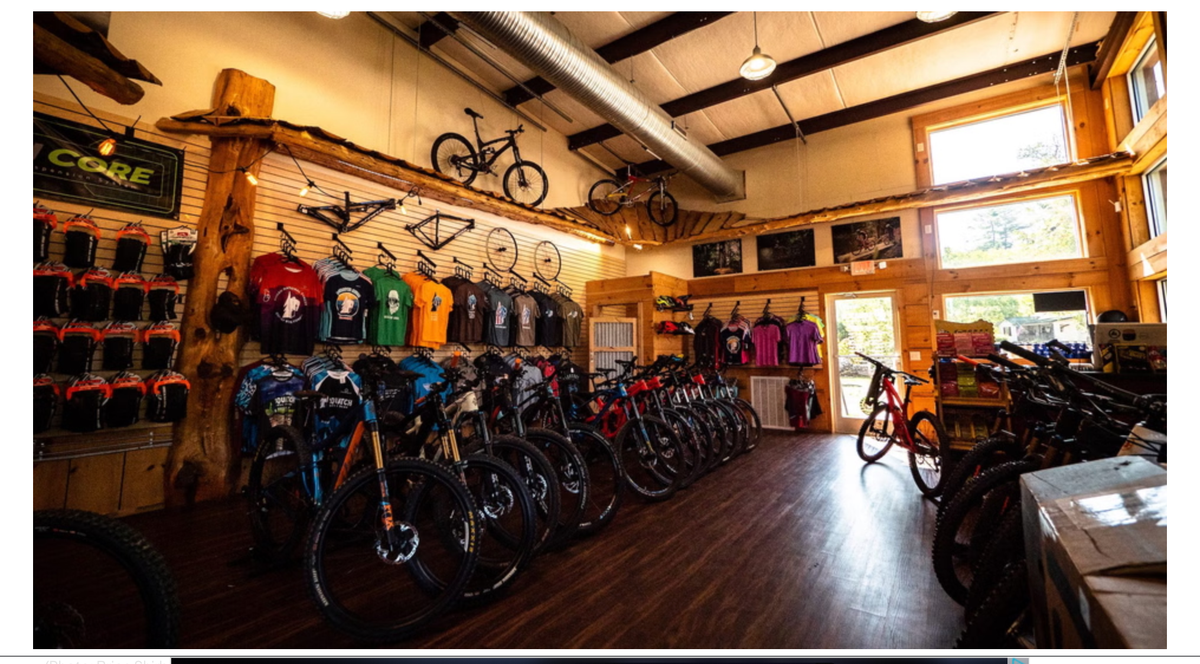 Our Bike Mechanic Has a Dog—You Now Have Emotional Baggage™: A Mixed-Methods Investigation of Sales Impact