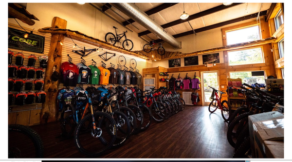 Our Bike Mechanic Has a Dog—You Now Have Emotional Baggage™: A Mixed-Methods Investigation of Sales Impact